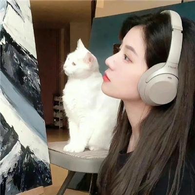 监察局长