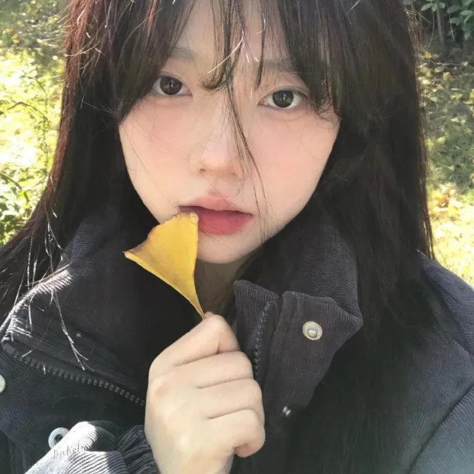 齐姆与友